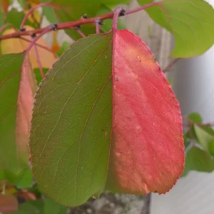 20201010_105854.jpg