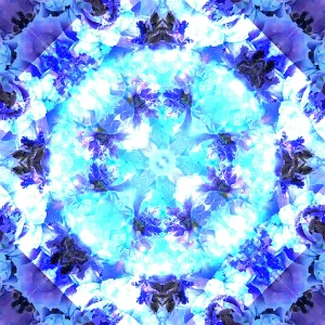 lila blau blumen.jpg