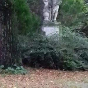 20201015_174356.jpg