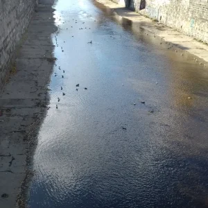 20201105_105415.jpg