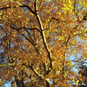 20201106_153426.jpg