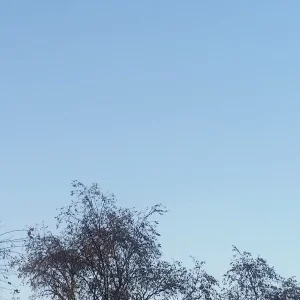 20201108_154033.jpg
