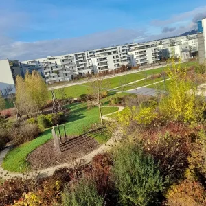20201117_103126.jpg