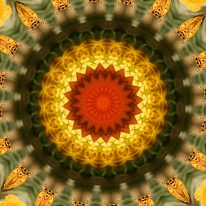 kaleidoscopeLime-20201117-113408.png