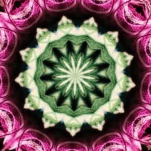 kaleidoscopeLime-20201119-142441.png