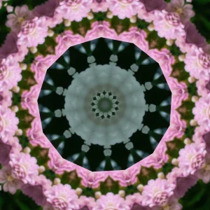 kaleidoscopeLime-20201119-143530.png