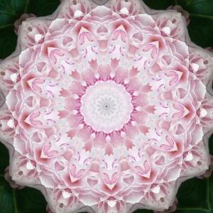kaleidoscopeLime-20201119-143420.png