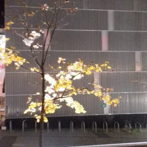 20201118_172959.jpg