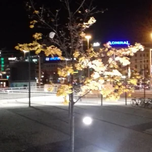 20201118_173032.jpg
