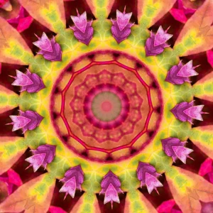 kaleidoscopeLime-20201120-195332.png