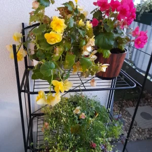 20201125_160129.jpg