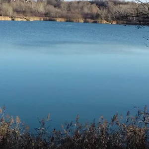 20201129_135540.jpg