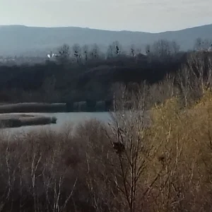 20201129_143202.jpg