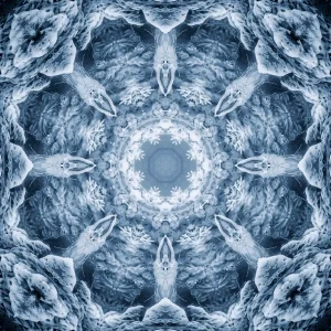 image3A71018_mirror3.jpg