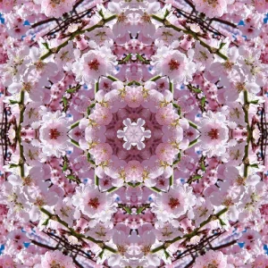 64278_mirror2.jpg