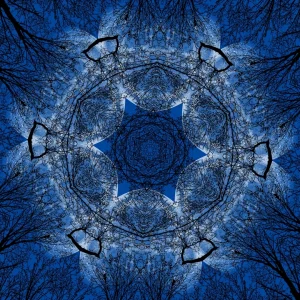 kaleidoscopeLime-20201210-191917.jpeg