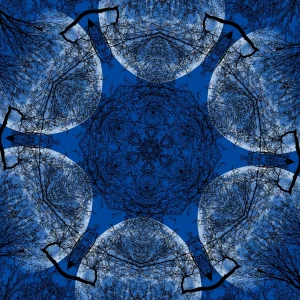 kaleidoscopeLime-20201210-191832.jpeg