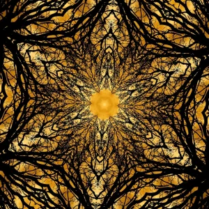 kaleidoscopeLime-20201210-191701.jpeg