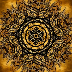 kaleidoscopeLime-20201210-191720.jpeg