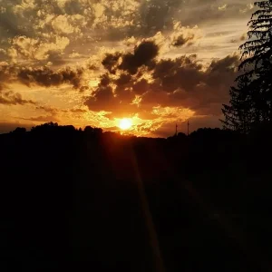 115846696_2031808070284835_4798833790558207204_o.jpg
