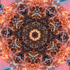kaleidoscopeLime-20201216-115519.jpeg