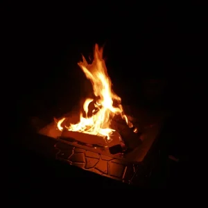 IMG_20201216_174022.jpg