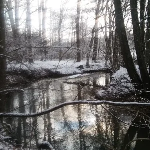 Winter_Sulzbach_1.jpg