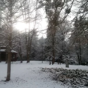 Winter_Kurpark_1.jpg