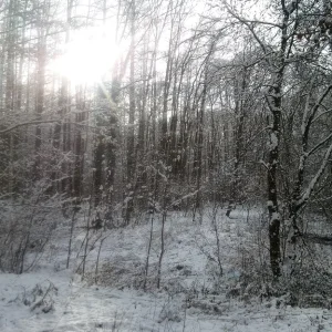Winter_Kurpark_3.jpg