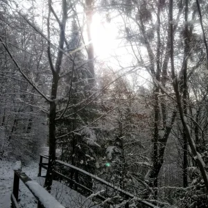 Winter_Kurpark_2.jpg