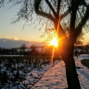 Winter_Sonnenuntergang_2.jpg