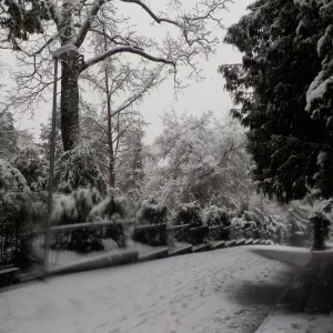 DSCN4488.JPG