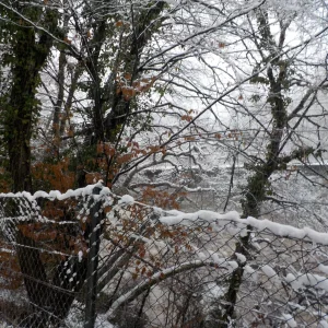 DSCN4492.JPG