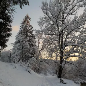 DSCN4528.JPG
