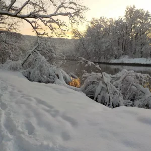 DSCN4530.JPG