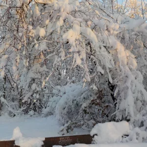 DSCN4517.JPG
