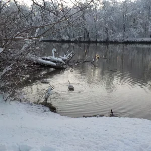 DSCN4539.JPG