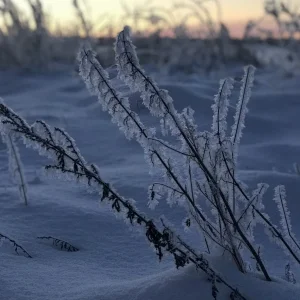 C0E5E40A-D066-4A85-965B-C3FF1339C7C9.jpeg