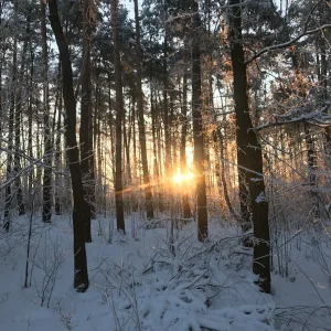 28EAB127-E03D-43B4-B18E-9FC8F0A2D179.jpeg