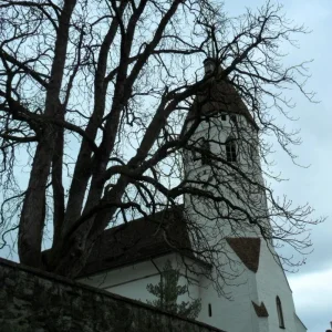 SAM_0040.jpg