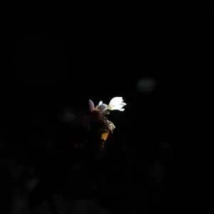 P1000210.JPG