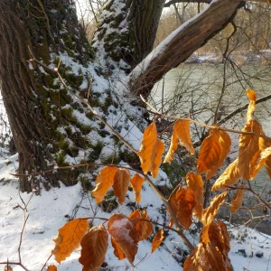DSCN4554.JPG