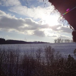 Winter.jpg