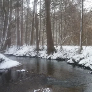 Schneesturm_1.jpg