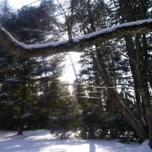 Schnee und Sonne_2.jpg