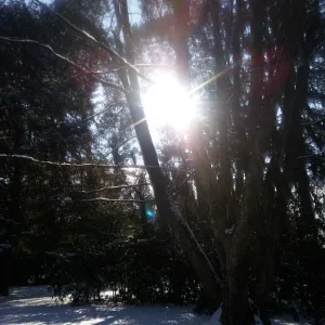 Schnee und Sonne_1.jpg