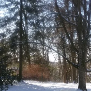 Schnee und Sonne_3.jpg