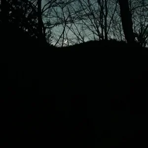 20210213_182830.jpg