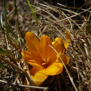 P1030797.JPG