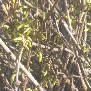 20210316_154950.jpg